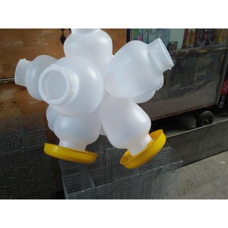 Máng Uống Cho Gà, Vịt , Máng Uống Cho Gia Cầm Dung Tích 6 lít.và 8 lít