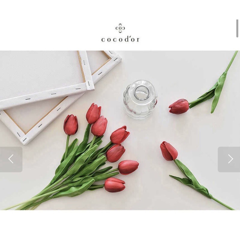 [ Cocodor ]Tinh dầu khuếch tán nội địa Hàn 200ml