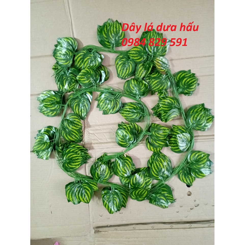 Dây leo giả: lá nho, trầu bà, thường xuân, rau má, dưa hấu, dài 2.4M