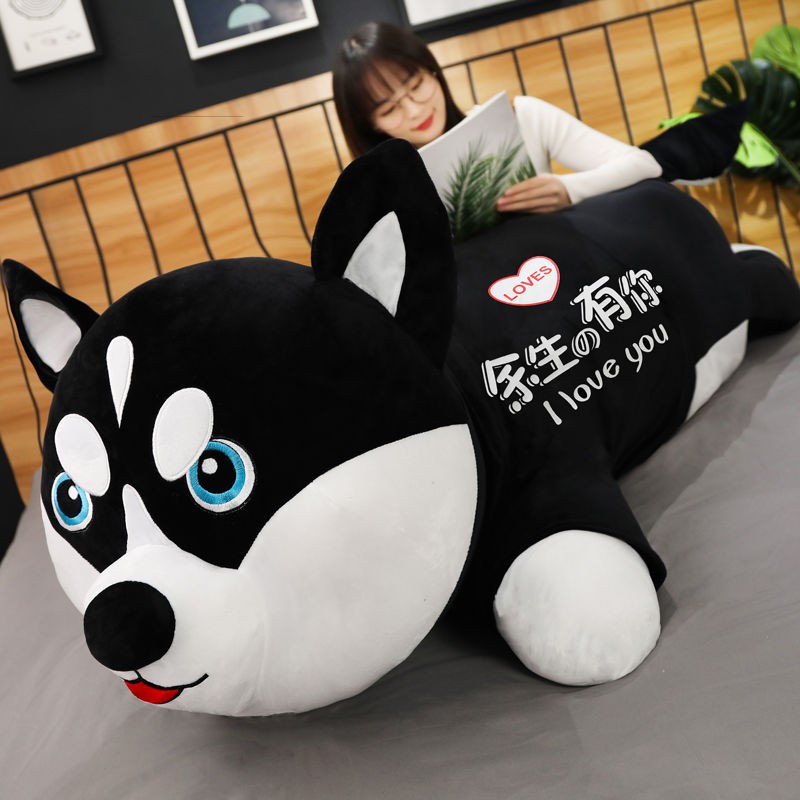 Husky Plush Toy Doll Chó con dễ thương Búp bê Trẻ em Cô gái Quà tặng sinh nhật Gối Ragdoll