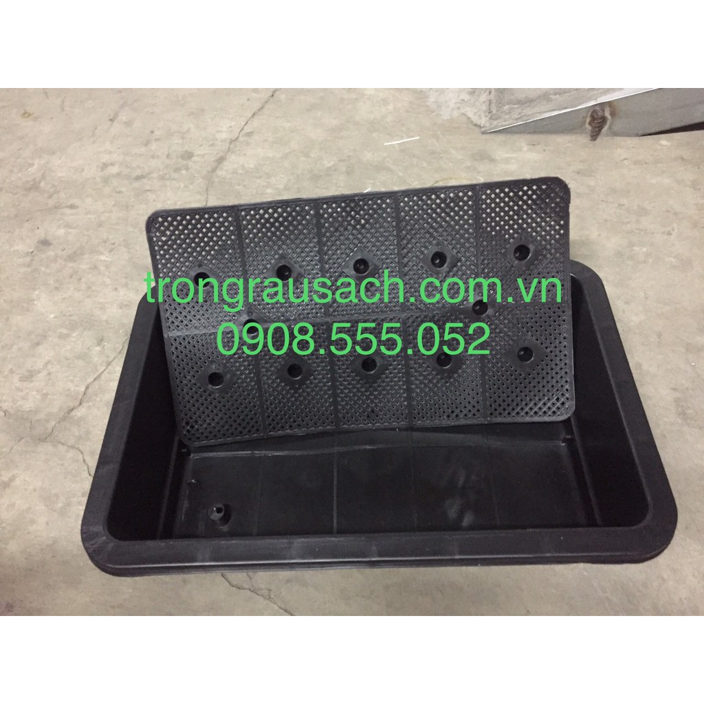 Khay Nhựa Trồng Rau 65x42x16cm (01SP) nhựa Loại 1