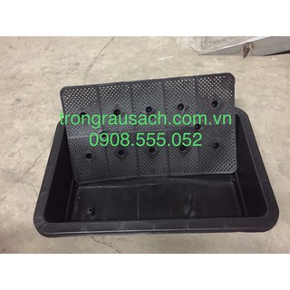 Khay Nhựa Trồng Rau Tân Hoa Thịnh 65x42x16cm (01SP)