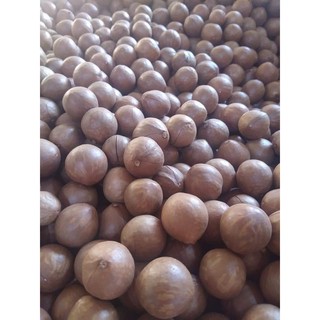 Hạt macca daklak  1kg