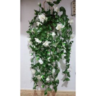 Giỏ hoa hồng 12 dây rủ