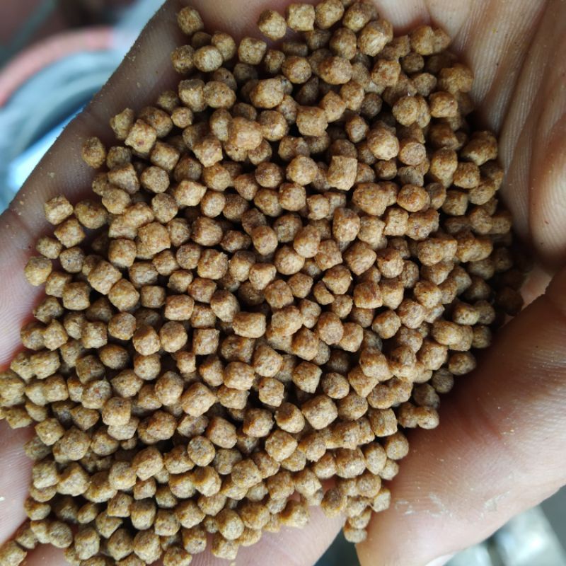 1kg Cám cá koi tự chọn theo yêu cầu