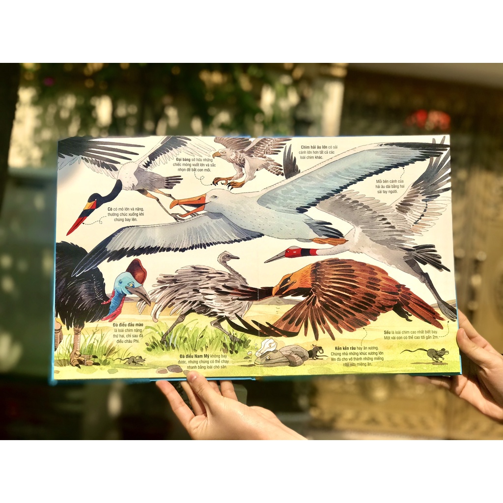 Sách - Big book - Cuốn sách khổng lồ về các loài động vật khổng lồ
