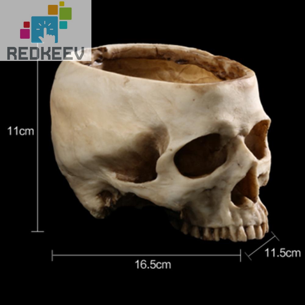 Chậu trồng cây bằng resin hình đầu lâu độc đáo