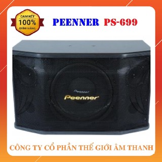 Bộ 2 Loa nằm Peenner PS-699