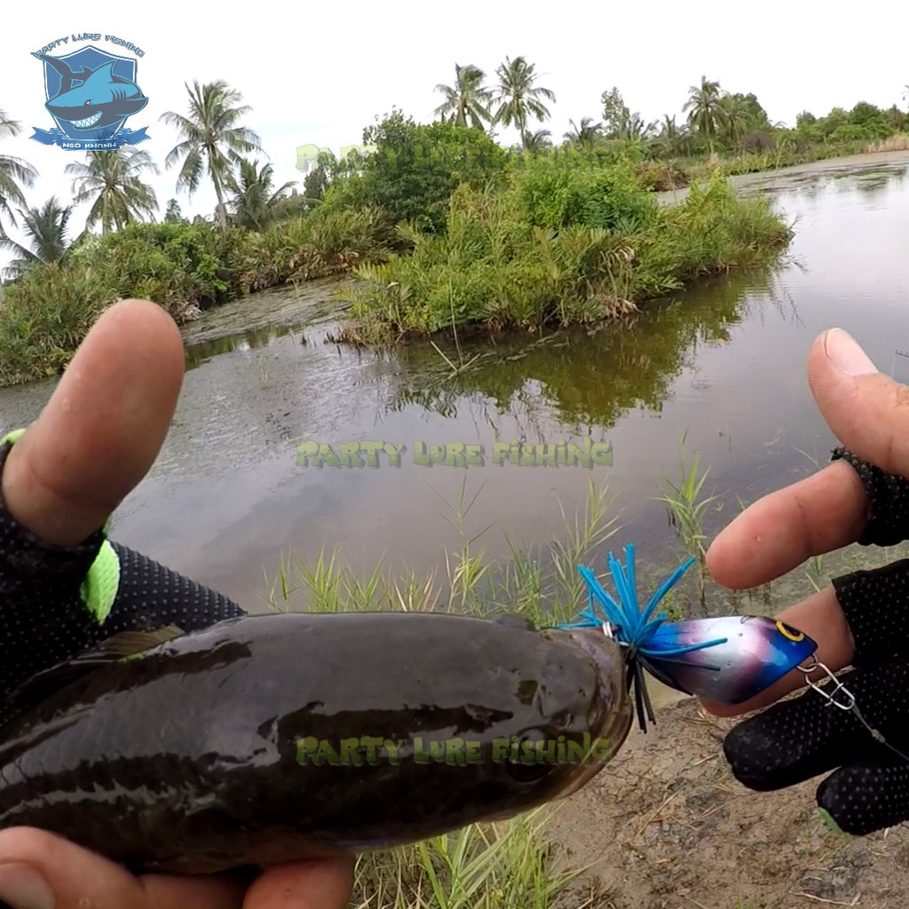 Mồi câu cá lóc nhái Lắc Bulls Titan , mồi lure lóc Made In Thailand