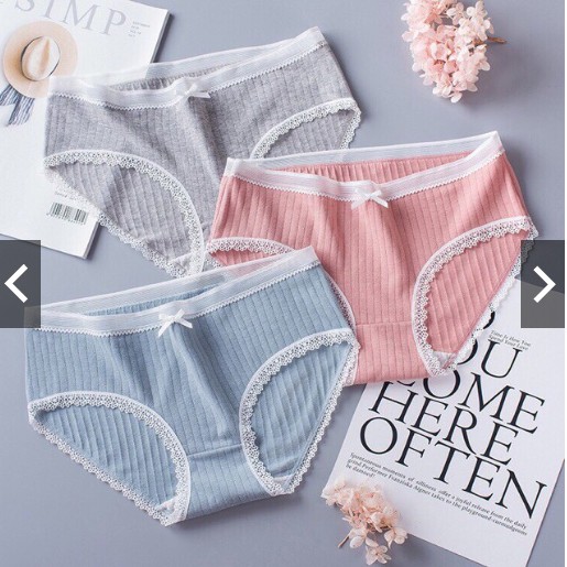 [Mã 12FASHIONSALE1 giảm 10K đơn 50K] Quần lót cotton gân tăm kháng khuẩn siêu mềm | BigBuy360 - bigbuy360.vn