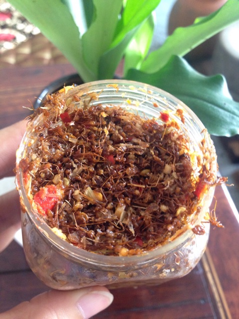 Muối kiến vàng nguyên con - đặc sản Gia Lai