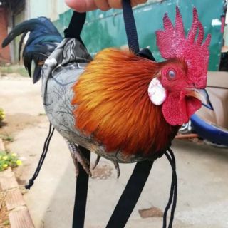 [Mã SKAMLTSM9 giảm 10% đơn 99K] Combo 5 túi đựng gà bổi
