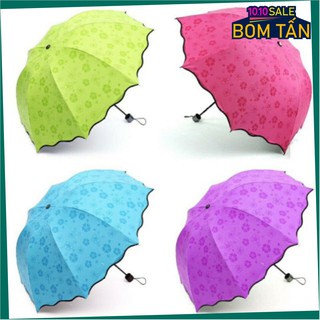 DÙ ĐI MƯA NỞ HOA GẤP GỌN