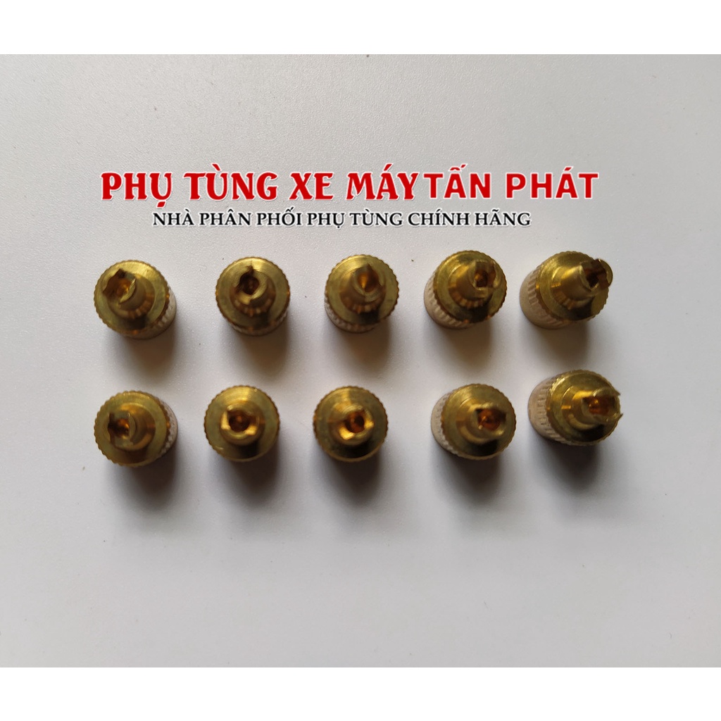 10 Cái Nắp Chụp Vặn Vòi Van Loại Dày Xe Máy Xe Đạp Xe Hơi Ô Tô