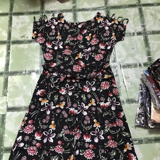 Jum hoa lửng
