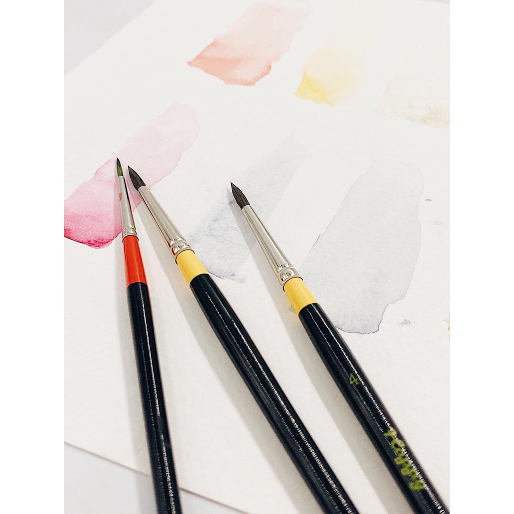 Cọ vẽ màu nước đầu tròn Happy Pro