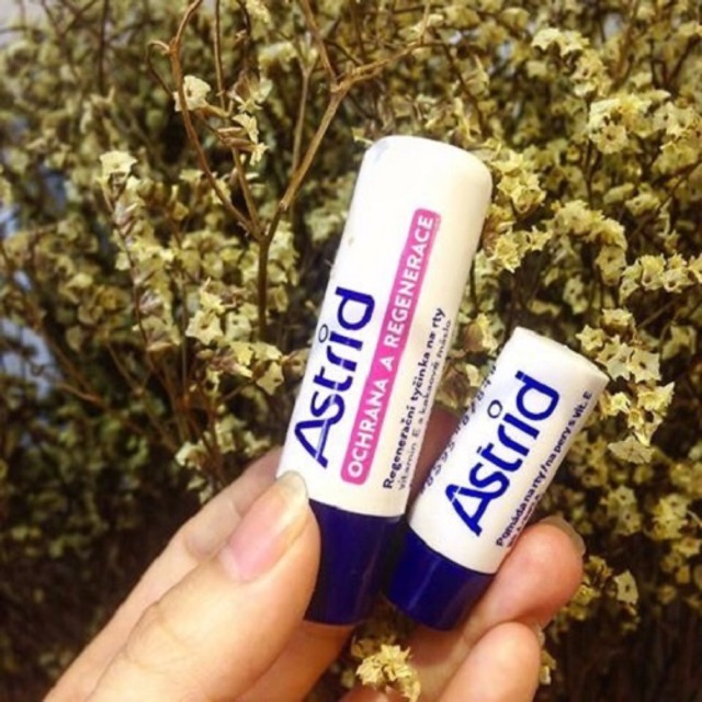 son dưỡng môi mỡ hươu Astrid