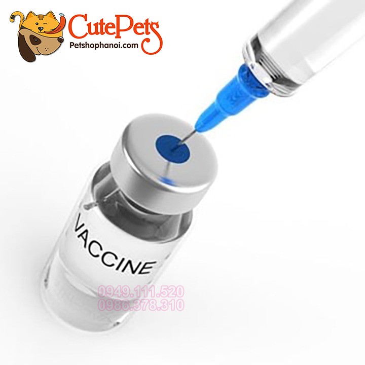 [Now, Grab] Chó 7 in 1, 5 in 1, Mèo 4 in 1 kèm sổ và kim - CutePets