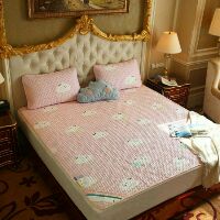 Chiếu teccel chuẩn m6*2m