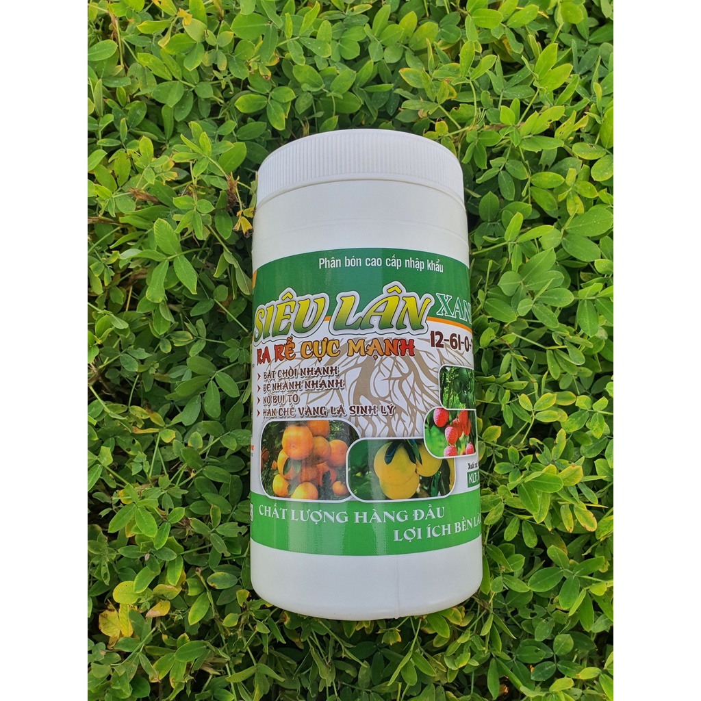 Phân bón siêu lân xanh npk, phân kích rễ,nở bụi, xanh lá, hết vàng lá, giải độc hữu cơ, chống nghẹt rễ-hũ to giá siêu rẻ