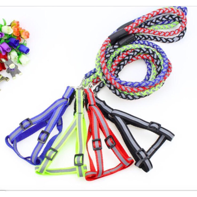 Xích chó dạ quang yếm