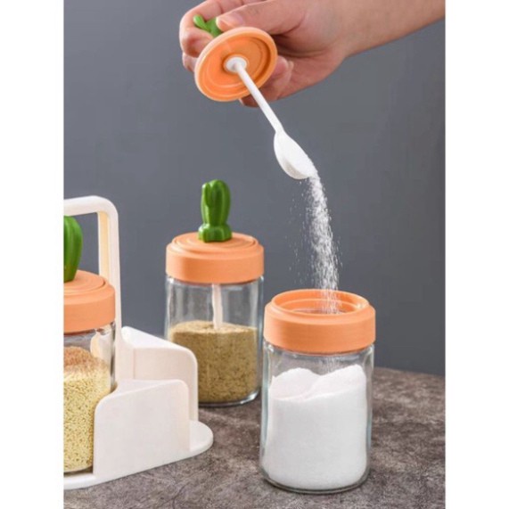 Set 4 Lọ đựng gia vị thủy tinh xương rồng cao cấp, hũ bột canh kèm muỗng thìa đẹp