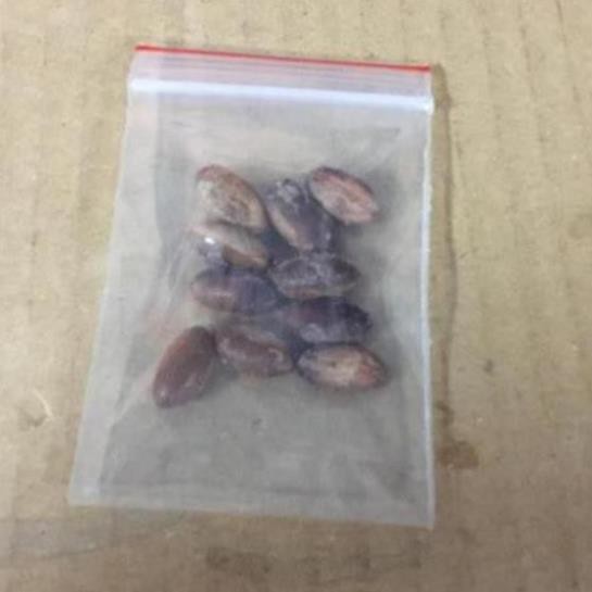 Hạt giống cây thần kỳ