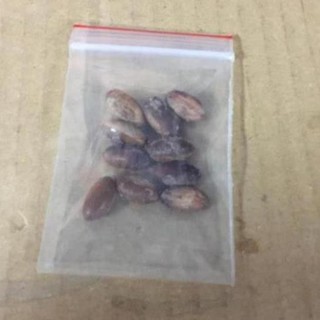 Hạt giống cây thần kỳ