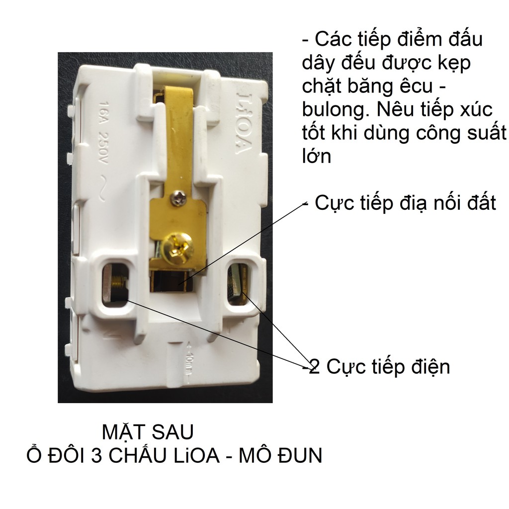 Ổ ĐÔI 3 CHẤU LiOA - MÔ ĐUN.