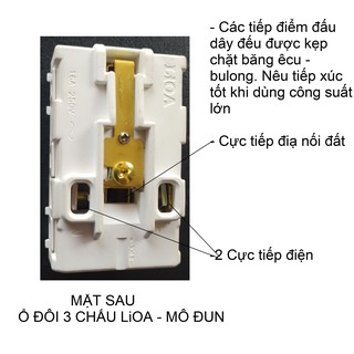 Ổ ĐÔI 3 CHẤU LiOA - MÔ ĐUN.