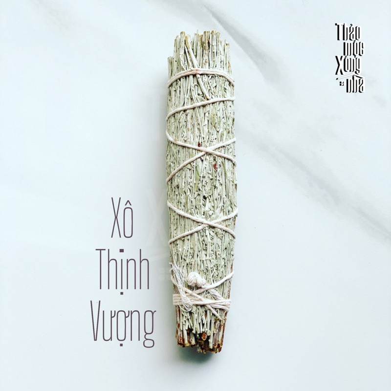 XÔ THỊNH VƯỢNG Thu hút tiền bạc / Sự giàu có / Sự dồi dào (Pine &amp; Mountain Sage) - THẢO MỘC XÔNG NHÀ