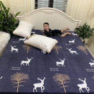 Ga chống thấm cotton 1m8-2m