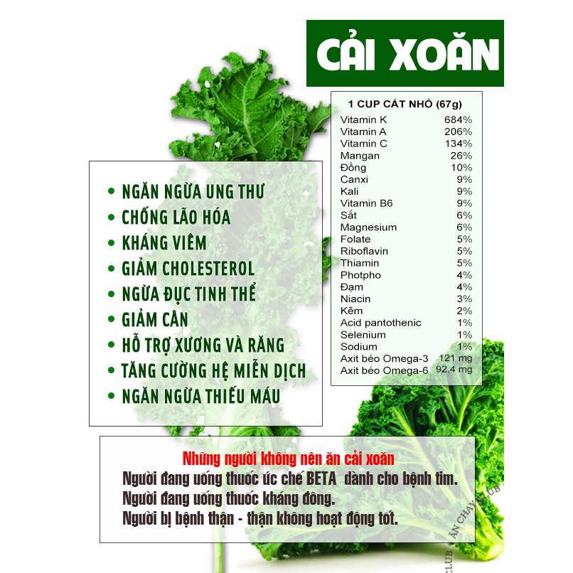 BỘT CẢI XOĂN KALE DALAHOUSE THẢI ĐỘC PHÒNG NGỪA UNG THƯ BỔ SUNG CANXI TĂNG ĐỀ KHÁNG - KALE150