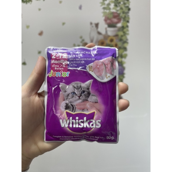 Pate Whiskas mèo con whiskat junior 80g