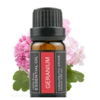 Tinh dầu phong lữ Granium dùng làm nến thơm 29