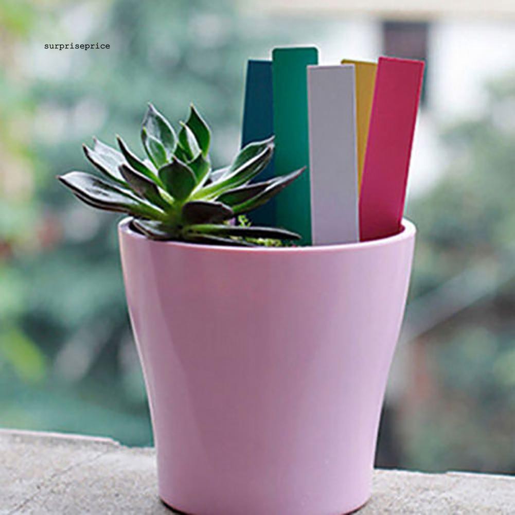 100 thẻ nhựa đánh dấu chậu cây trồng