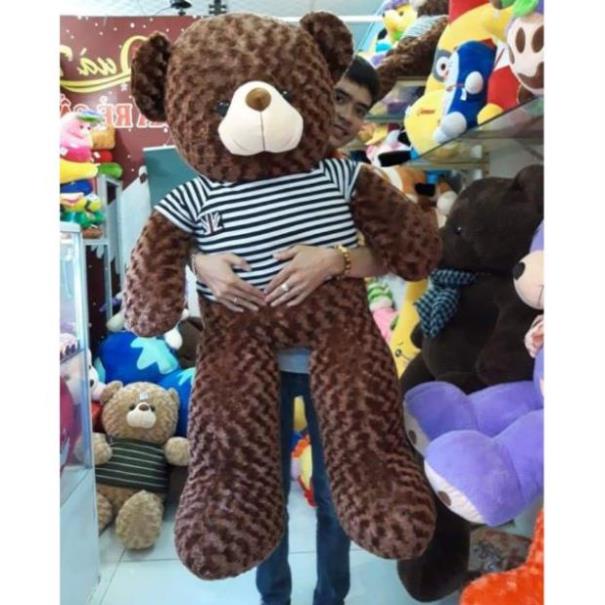 Thú nhồi Bông Teddy Siêu To Màu Nâu Đậm gấu bông giá rẻ cho bé cao cấp bảo hành 6 tháng