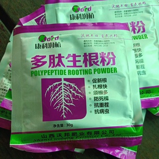 Phân bón siêu kích rễ dam cành Trung Quốc