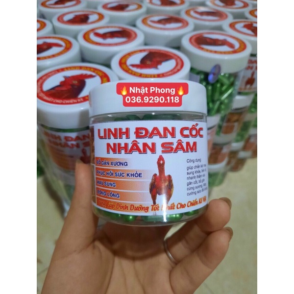 LINH ĐAN CÓC NHÂN SÂM -