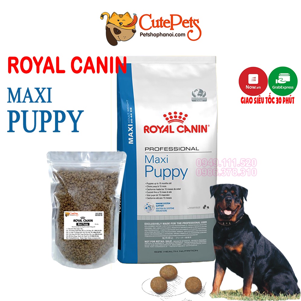 Hạt cho chó lớn Royal Canin Maxi Puppy 1kg - Phụ kiện thú cưng Hà Nội