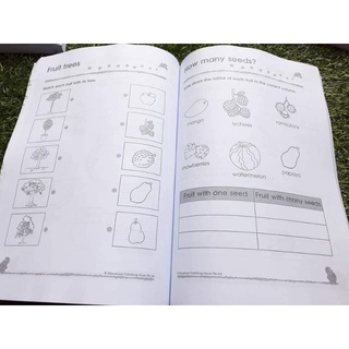 Bộ 300 Kindergarten trọn bộ 3c