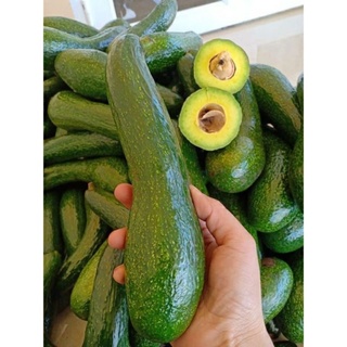 BƠ 034 VƯỜN LÂM ĐỒNG(SIZE 2QUẢ/1KG)