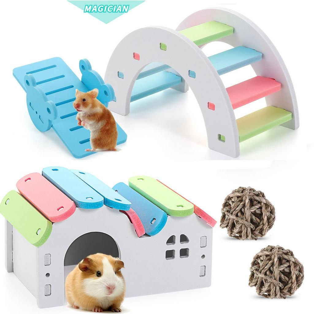 Cầu Đồ Chơi Bằng Gỗ Màu Cầu Vồng Chăm Sóc Răng Cho Chuột Hamster