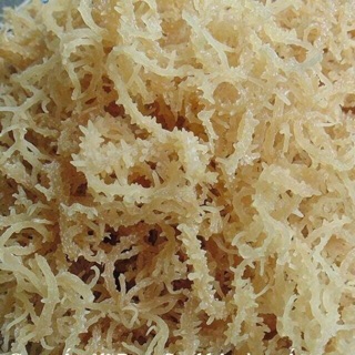 Rong sụn khô ( rong biển trắng)