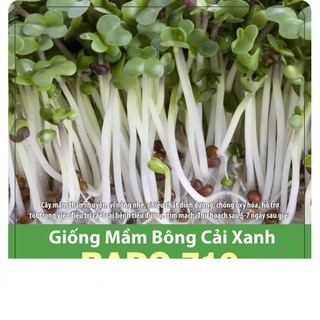 Hạt giống mầm bông cải xanh 10gr