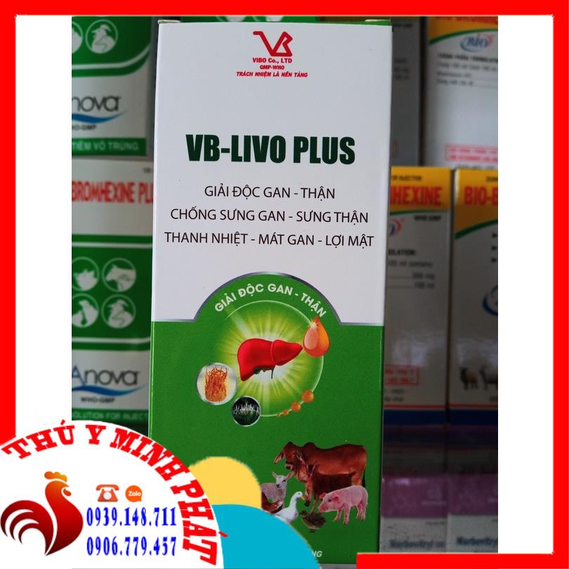 VB LIVO PLUS - GIẢI ĐỘC GAN THẬN, SƯNG THẬN, THANH NHIỆT, MÁT GAN, LỢI MẬT