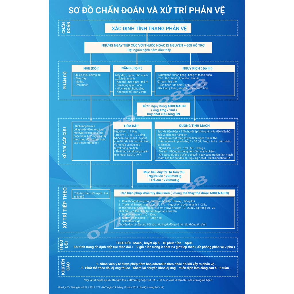 TRANH CHẨN ĐOÁN VÀ XỬ TRÍ PHẢN VỆ - PHÁC ĐỒ MỚI NHẤT CỦA BYT (TRANH CÁN BÓNG)