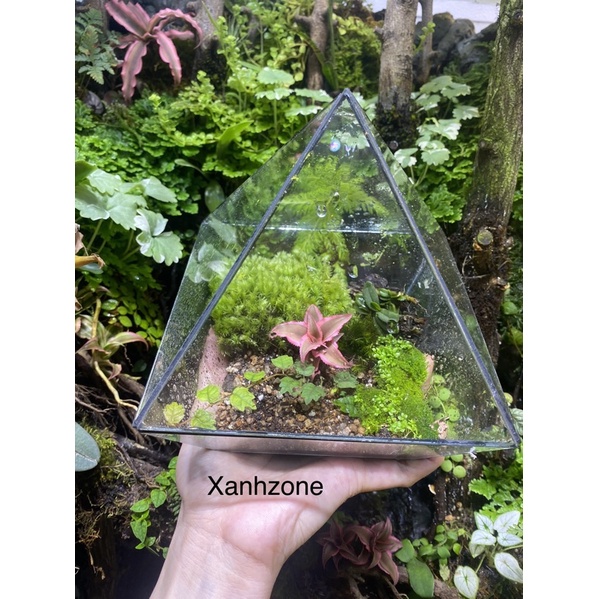 Đất nền terrarium, đất trồng rêu, tiết kiệm 4 lần nguyên liệu cốt nền, chuyên dụng trồng rêu, terrarium