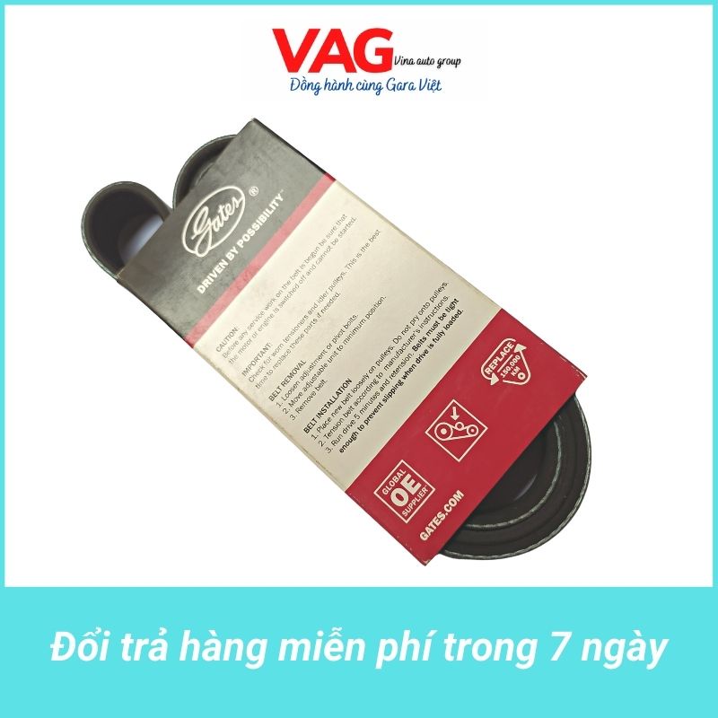 [Chính hãng] Dây Curoa Gates 5PK1255 Kia Morning 1.0 2012 - 2015, Kia Ray 1.0 2011 - 2017 chính hãng Gates - Mỹ