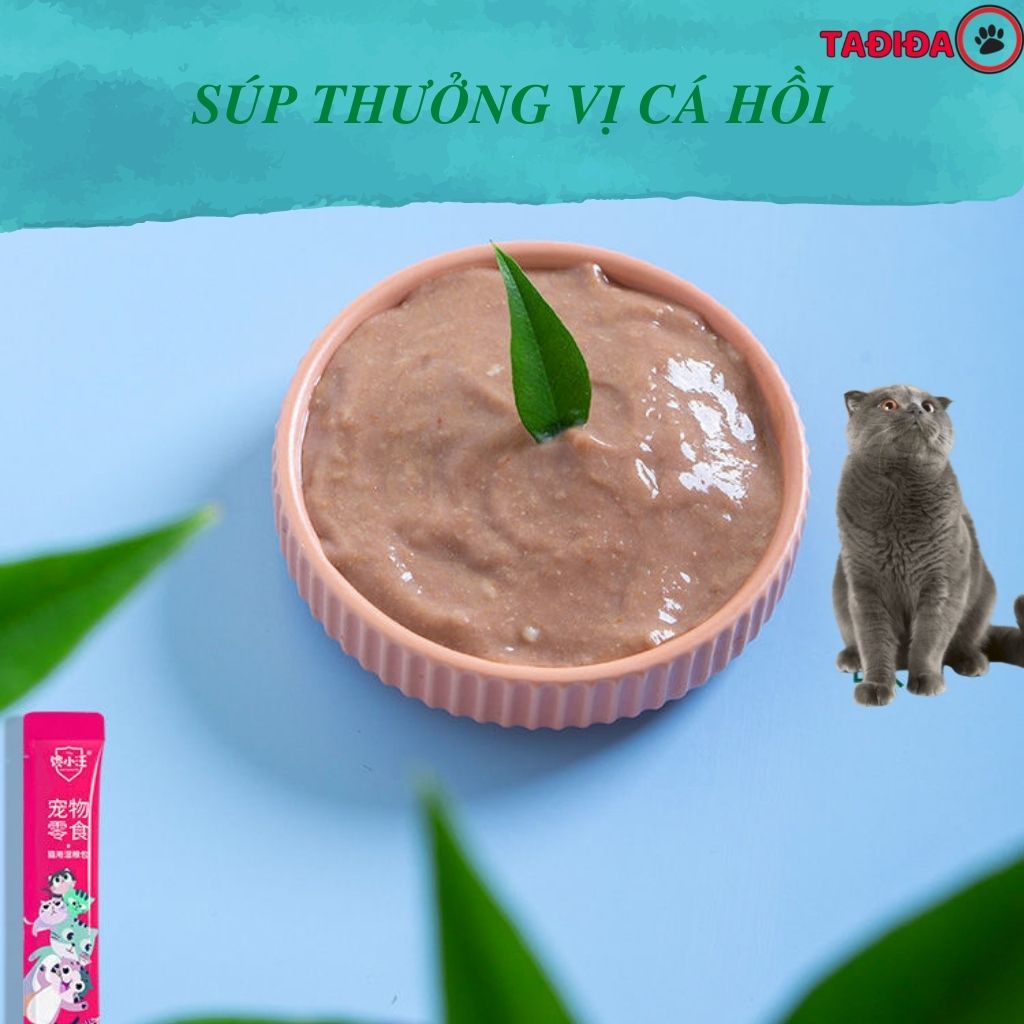 Súp thưởng cho Mèo Ciao dinh dưỡng , Thức ăn cho Mèo bổ sung dưỡng chất - Tadida Pet